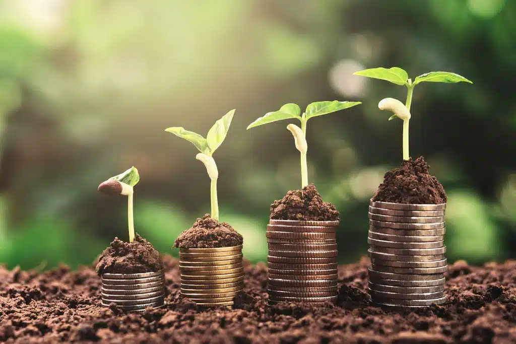 Reaching sustainable macroeconomic stability, and economic growth