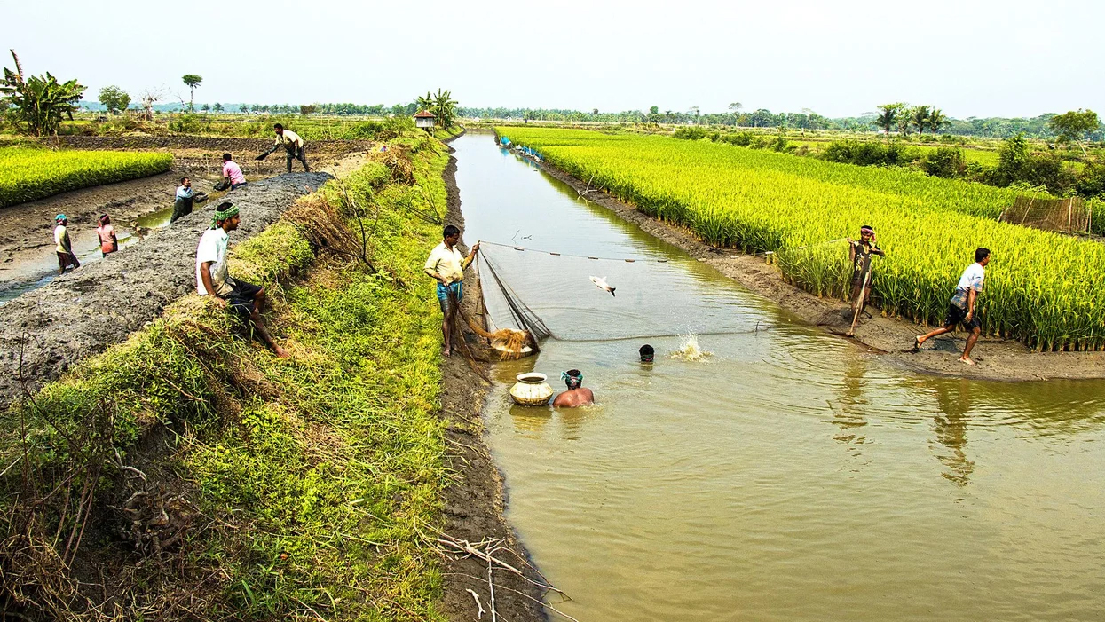 The 50-Year Chinese blueprint for sustainability