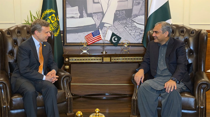 Naqvi, senior US official discuss Pak-US ties, counterterrorism efforts