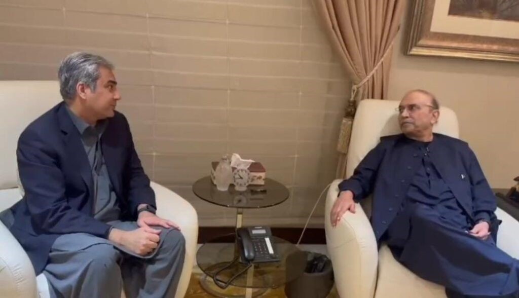 President Zardari describes NSC decisions as timely and visionary