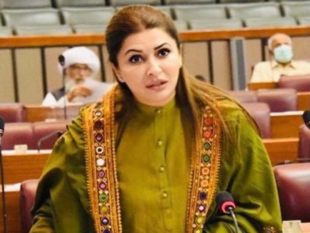 PPP seeks PTI’s support against controversial canals project