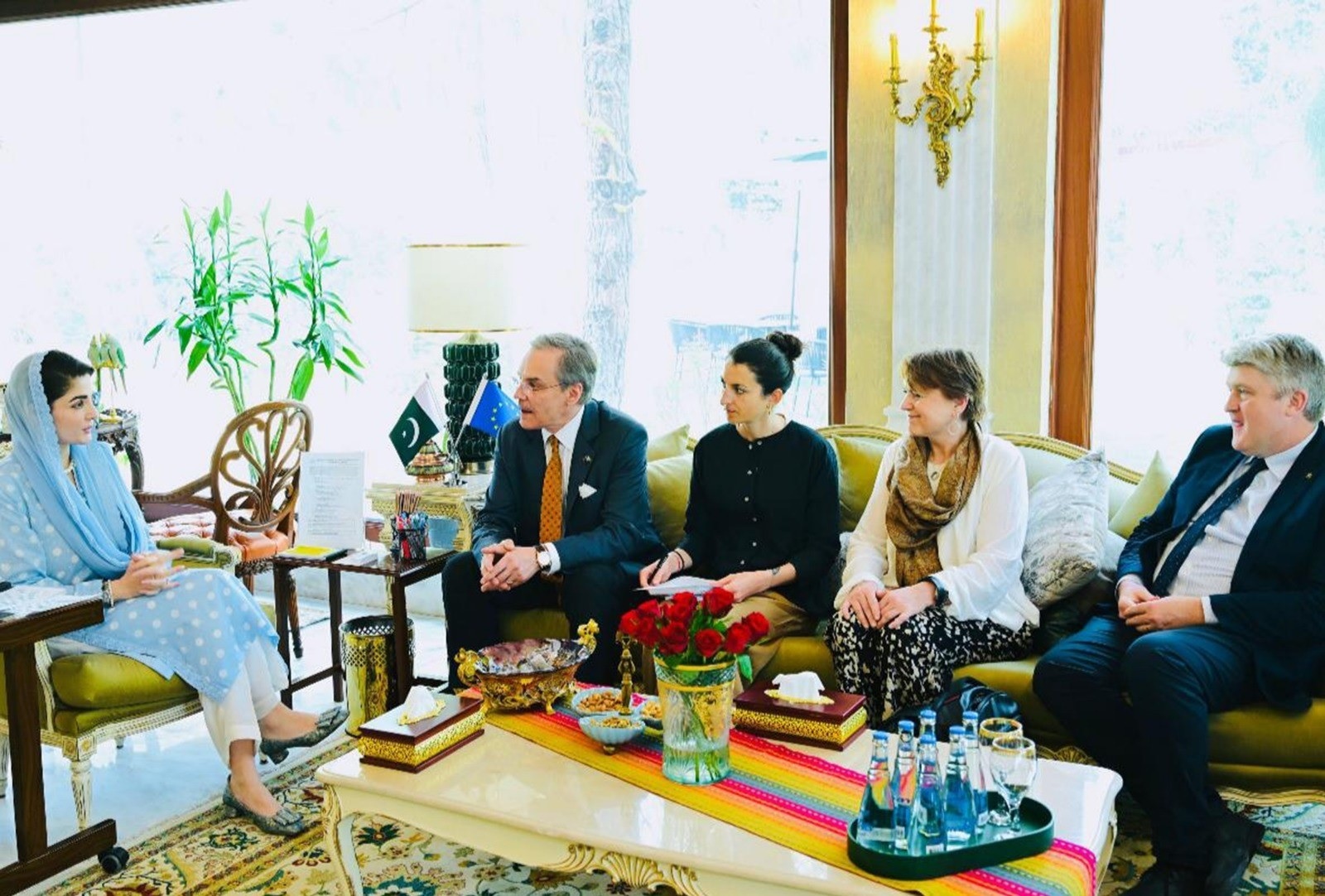 CM Maryam, EU's Parliamentary delegation agree to further cement bilateral ties