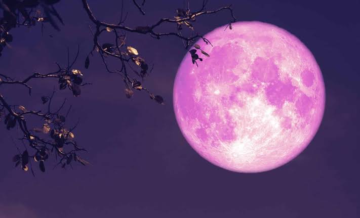Pink Moon 2025: When and how to view it in Pakistan