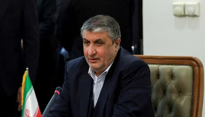 Nuclear chief says Tehran tried not to accept inspectors from hostile countries