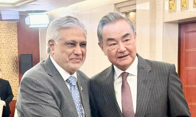 Dar, Wang Yi reaffirm mutual support in security, agriculture on SCO sidelines