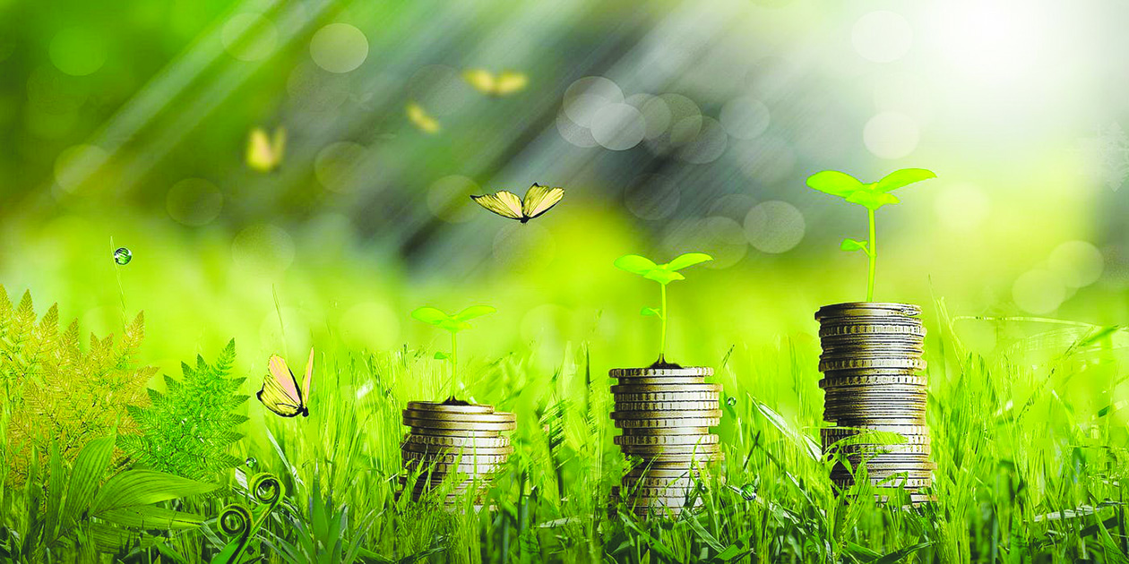 Transitioning to a climate-ready economy
