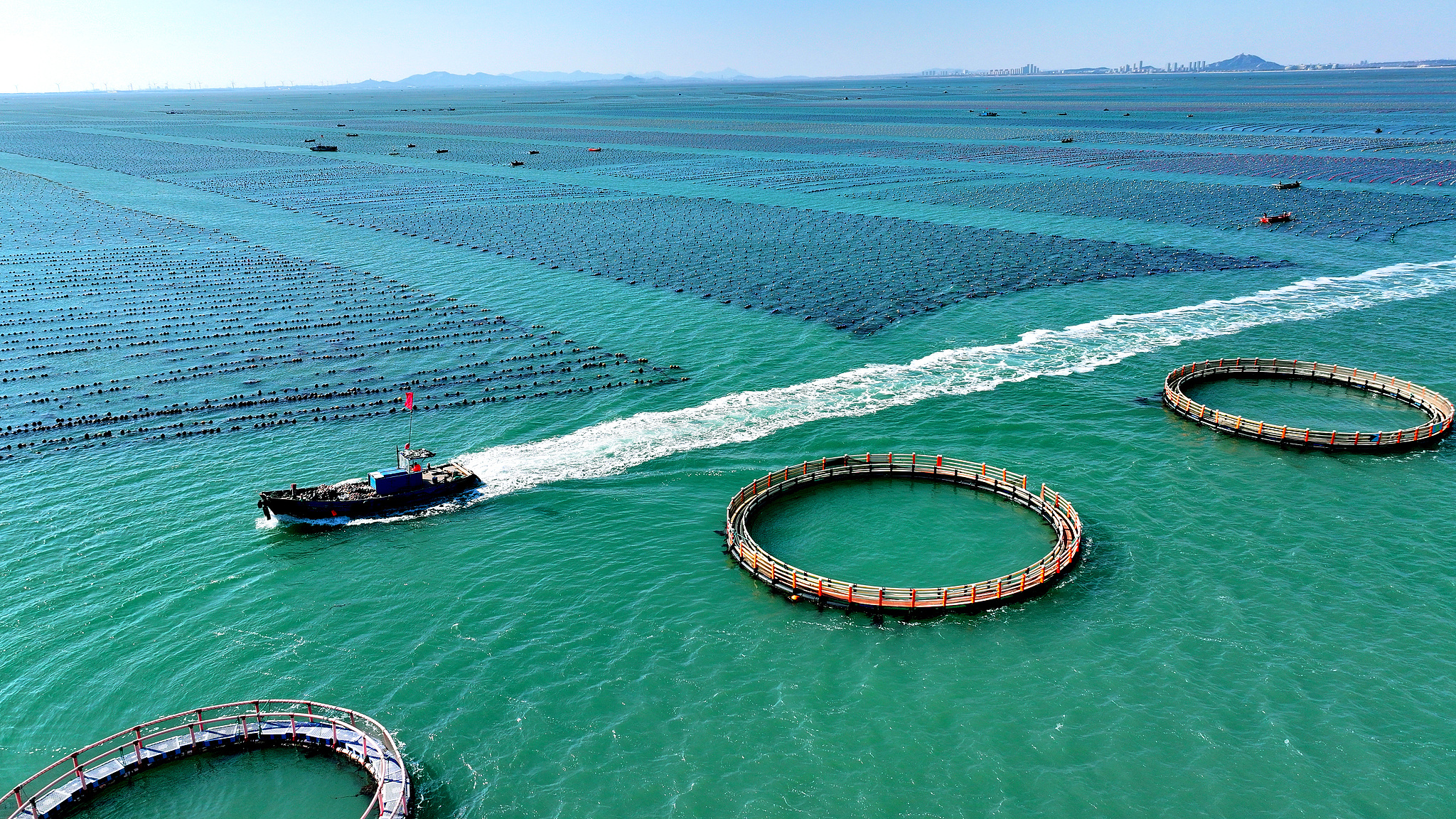 President Xi stresses promoting marine economy's high-quality development