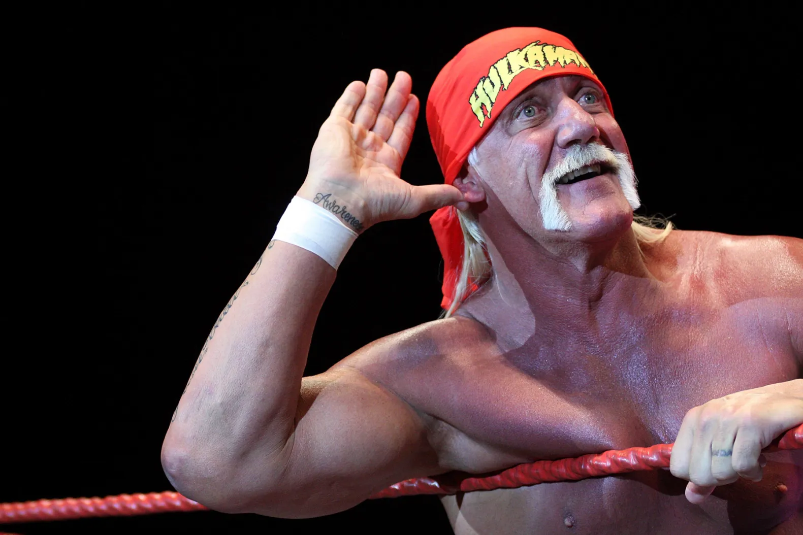 Hulk Hogan, Wrestling Superstar, Dies at 71 in Florida