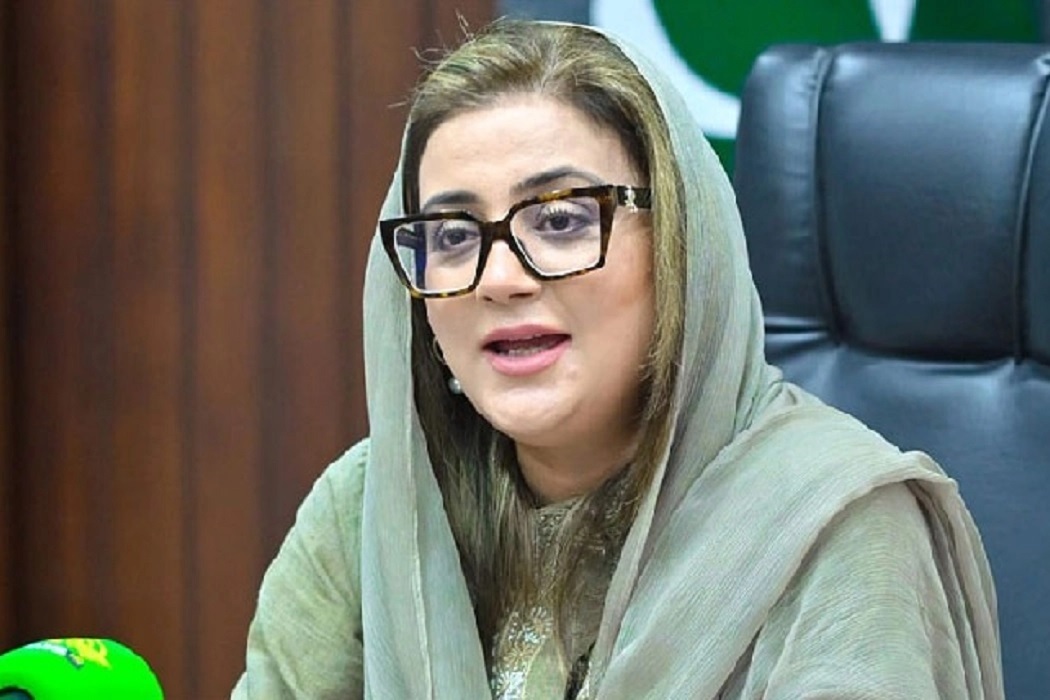 Punjab govt will learn lessons from historic floods: Azma Bokhari