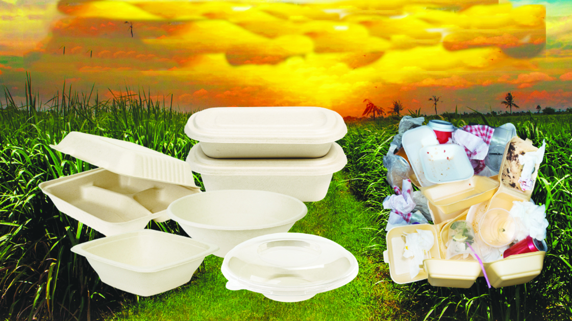 Sugarcane packaging explained: What it is and why it matters