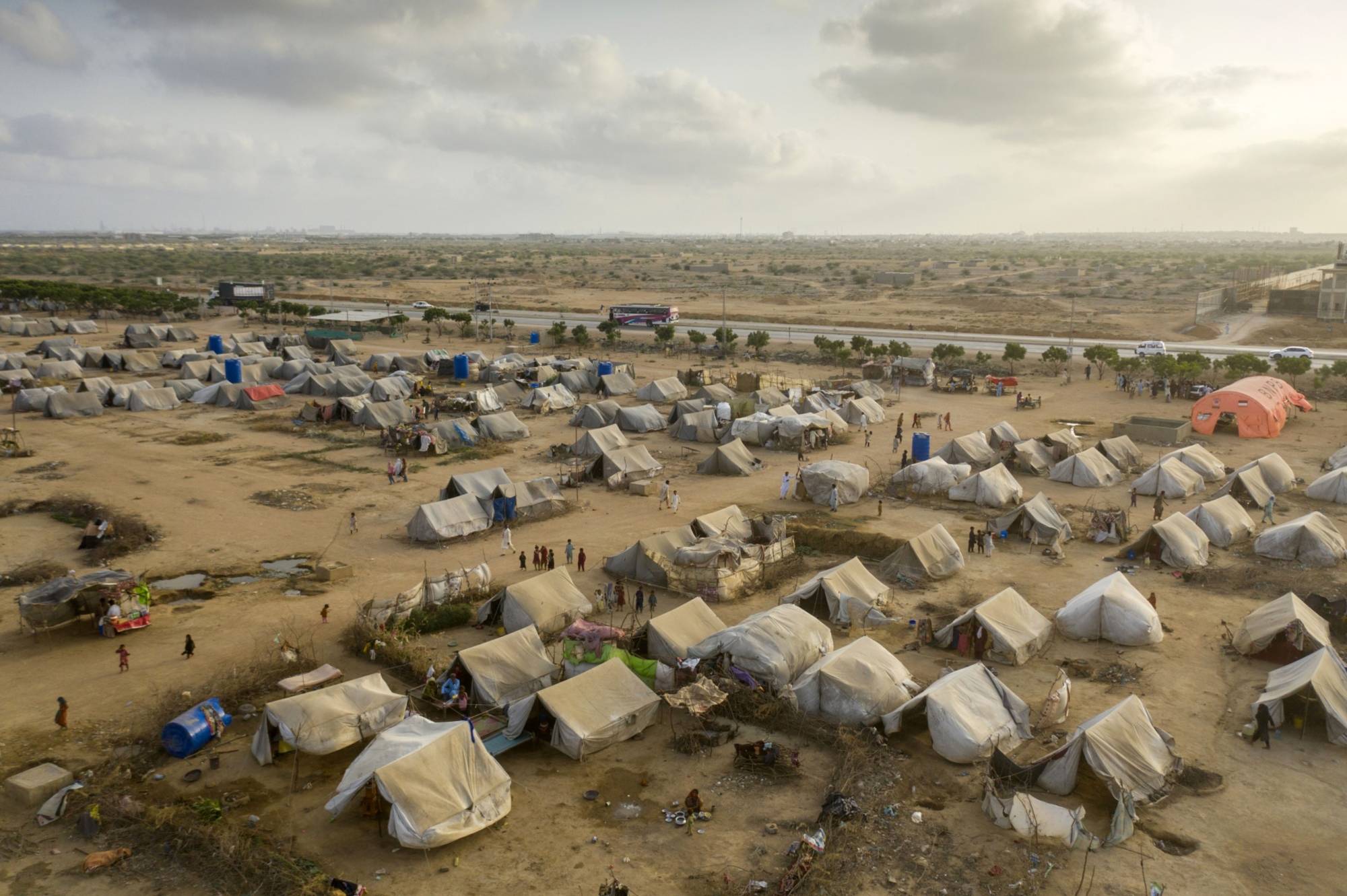 Migration as adaptation