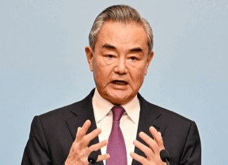 Wang calls for pushing China-Ethiopia all-weather strategic partnership to new heights