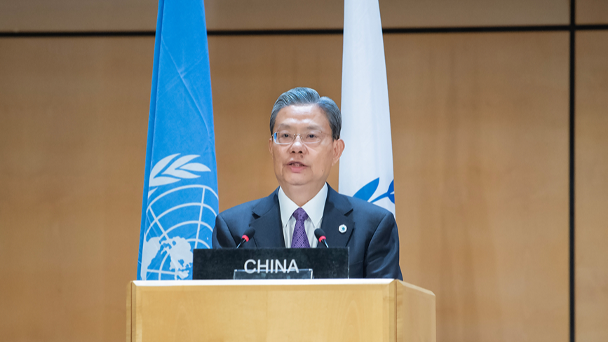 China's top legislator urges greater parliamentary cooperation to uphold multilateralism