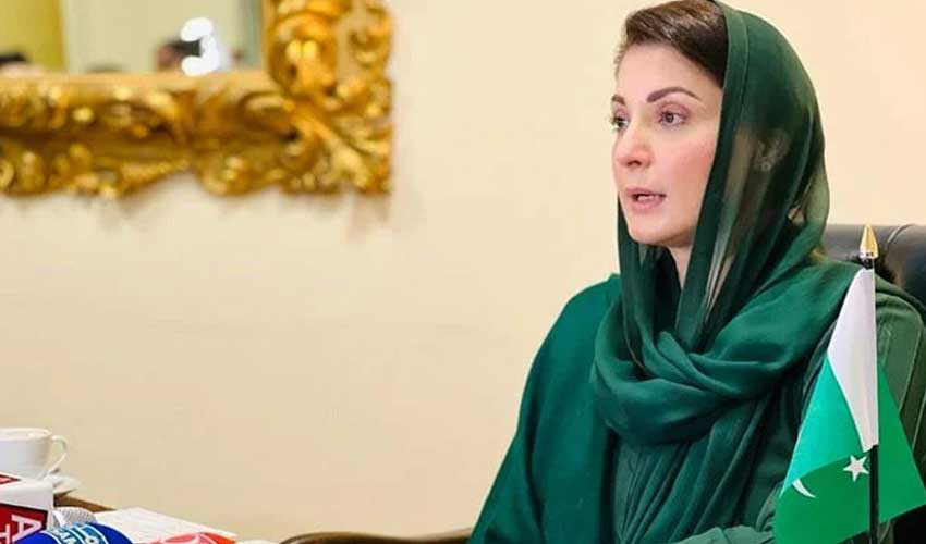 Punjab CM unveils Rs600m worth veterinary internship program