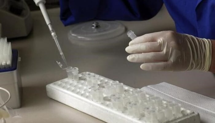 Human skin cells successfully turned into fertilizable eggs for the first time