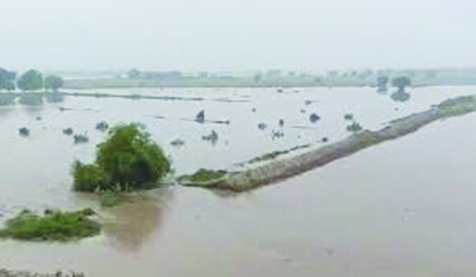 When water becomes our biggest enemy