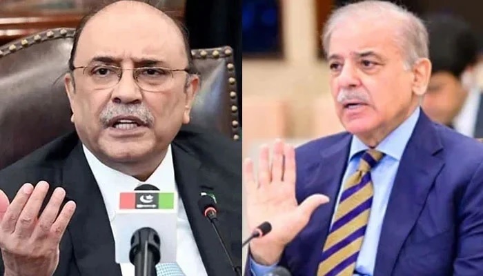 PM Shehbaz, President Zardari vow to safeguard democracy, fundamental rights