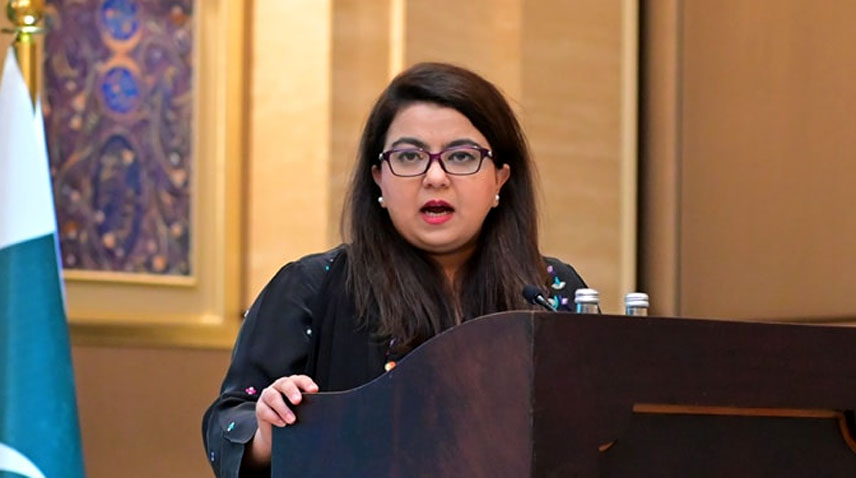 Shaza pledges full backing for indigenous PC hardware manufacturers to cut imports, save forex