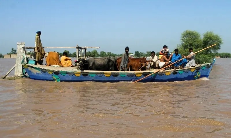Punjab loses crops over 2.2m acres as Indus flood devastates parts of Sindh