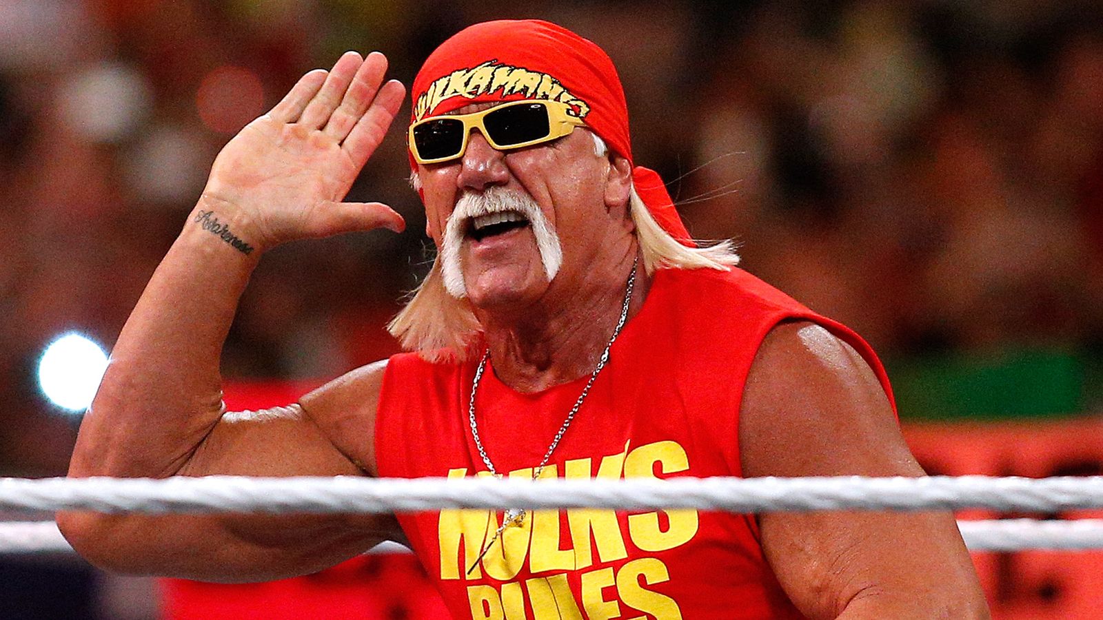 Hulk Hogan shocks his family after leaving 5 million wealth to sole