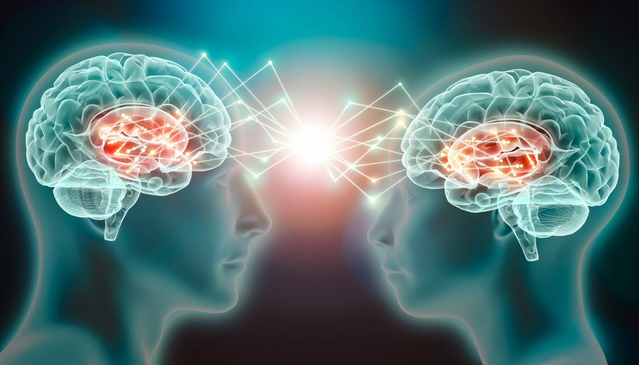 Two brains