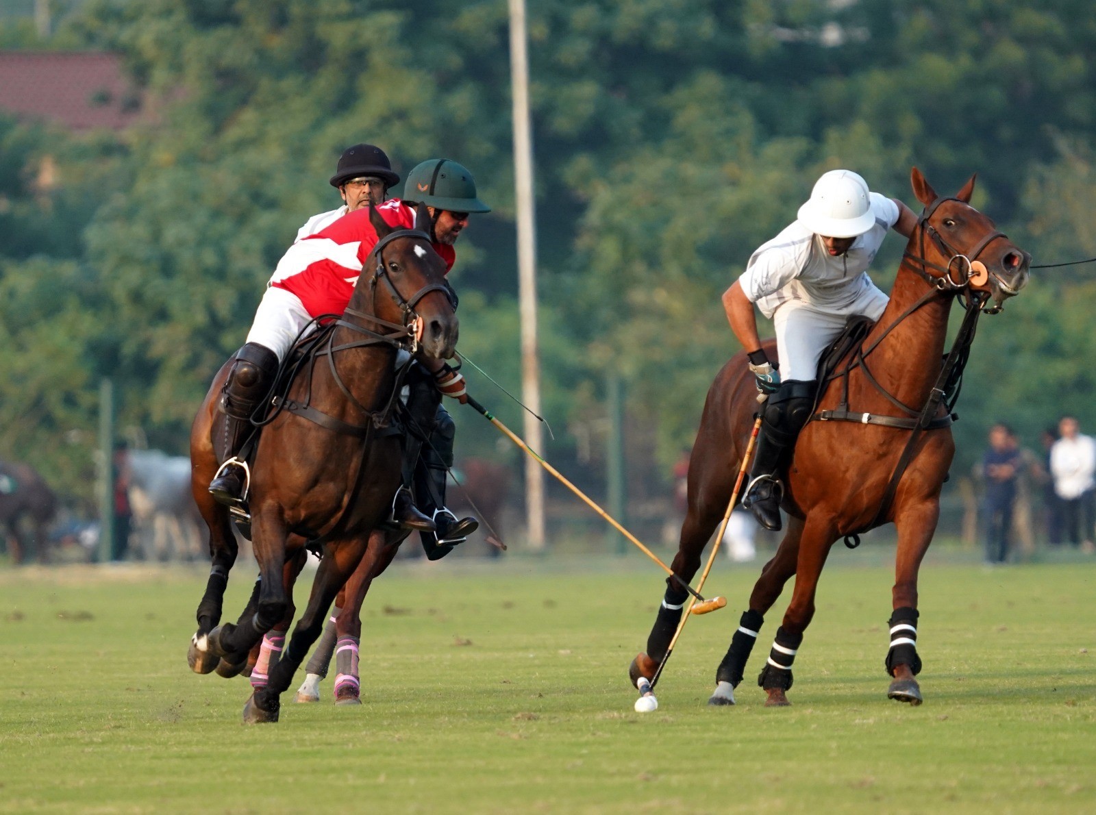 Master Paints beat Rijas/Din Polo 7.5–6 to qualify for LSC Pink Polo Cup final