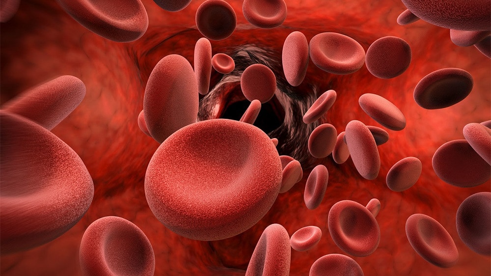 Cambridge scientists create lab-grown human blood in major medical breakthrough