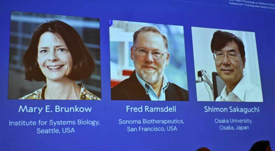 Medicine Nobel to trio who identified immune system's ‘security guards'
