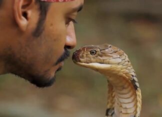 Man walks into hospital with snake that allegedly bit him
