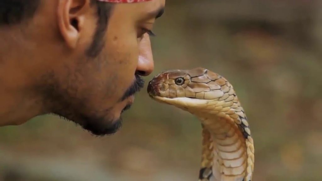 Man says his wife becomes snake every night and bites him