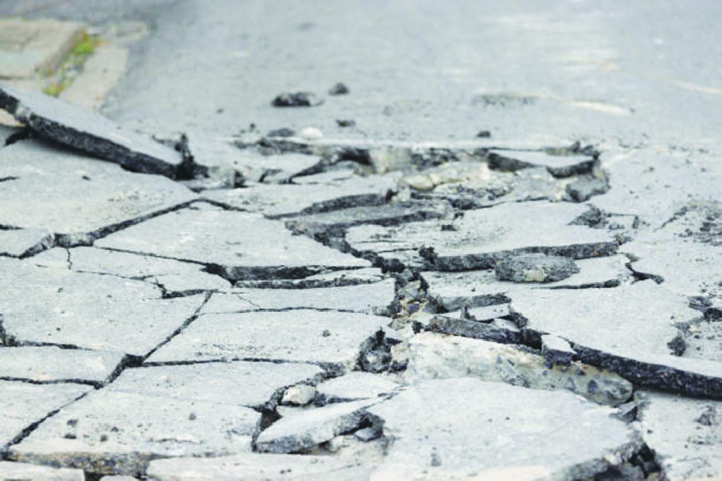 The silence beneath cracking concrete