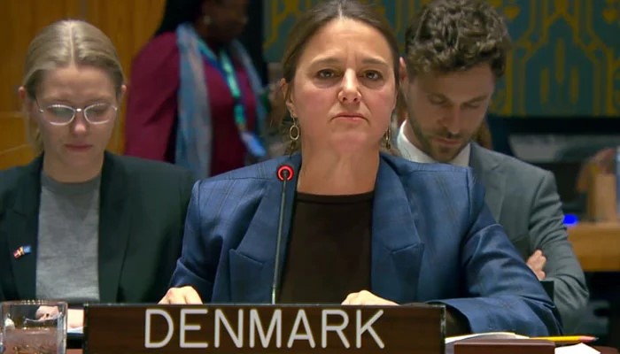 UN Panel raises alarm about ‘serious Afghan-backed TTP threat’ to Pakistan