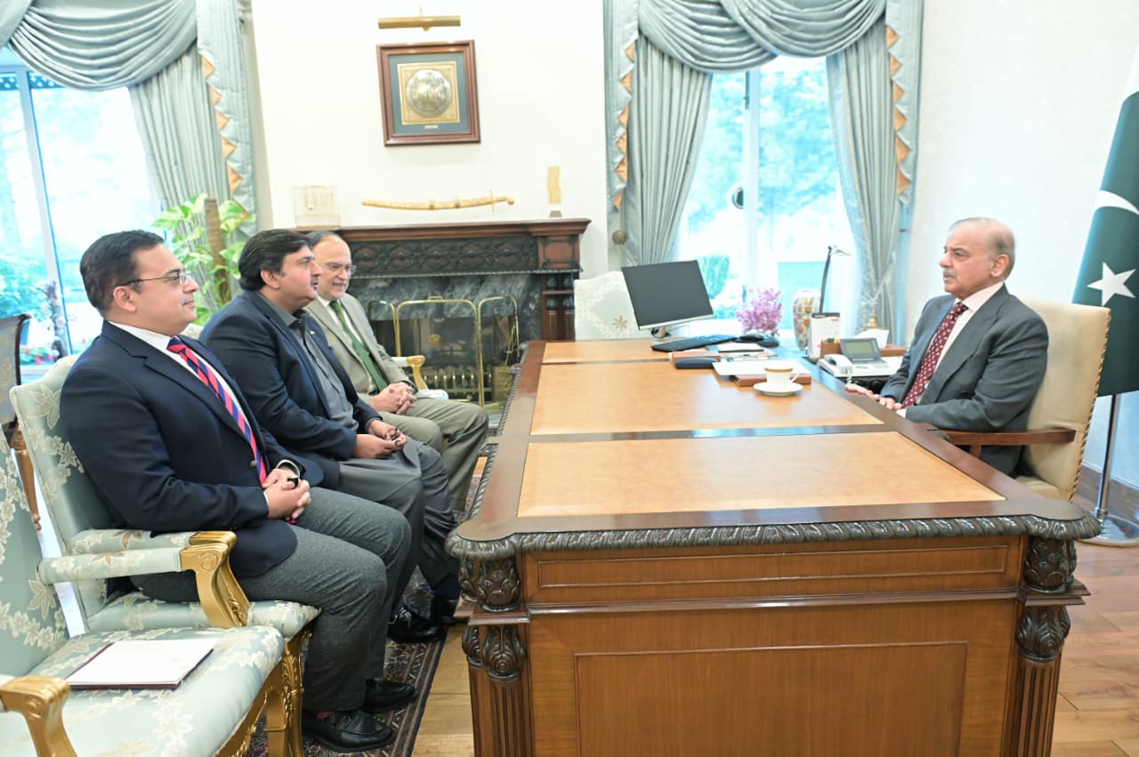 PM reviews key governance, planning and expatriate affairs in back-to-back meetings