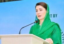 Small businesses growth strengthens urban economy, improves workers lives: CM Maryam