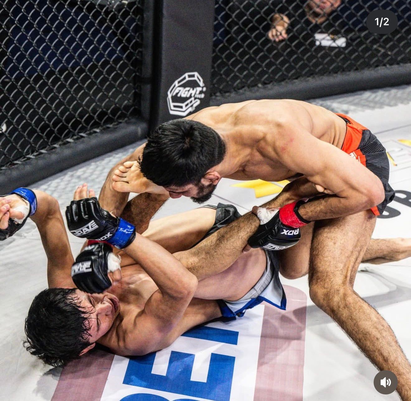 Pakistan MMA marks major milestone with victory at BRAVE 103
