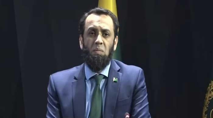 'Hostile countries' behind campaign to malign Pakistan after Bondi shooting: Tarar