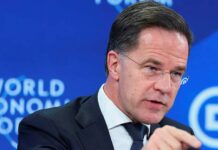 Spain urges EU to create joint army amid Greenland dispute