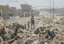 How 2025 Chose Not to Choose