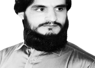 Re-emergence of two Hamzas