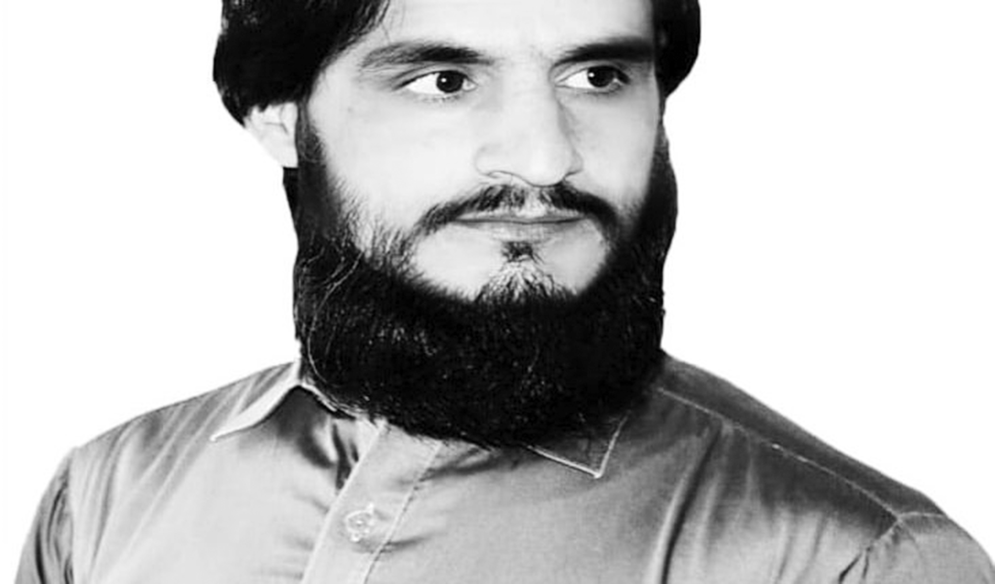 Re-emergence of two Hamzas