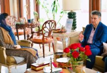 Punjab to fast-track introduction of advanced intravascular cardiac surgery: CM Maryam