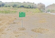 WWF disputes CDA claim on tree removal, links logging to infrastructure development in Islamabad