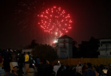 Aerial firing and animal rights