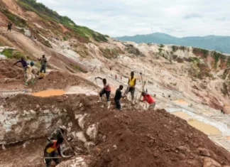 Over 200 killed in coltan mine collapse in eastern DR Congo