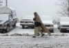 Northern KP, GB, Balochistan battle freezing cold as 10 killed amid NDMA alert