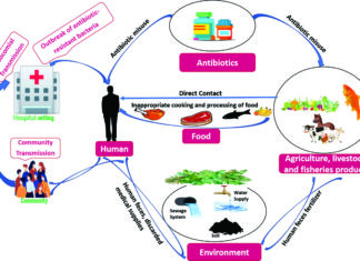 Antibiotic resistance and one health