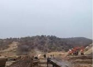 Illegal gold mining puts Karak’s olive forests under threat
