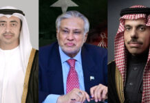 Deputy PM Dar hold talks on Yemen peace process with Saudi, UAE counterparts