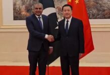 Pakistan, China agree to institutionalize security coordination to further deepen bilateral ties