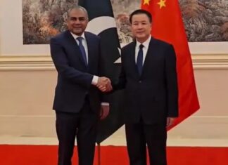 Pakistan, China agree to institutionalize security coordination to further deepen bilateral ties